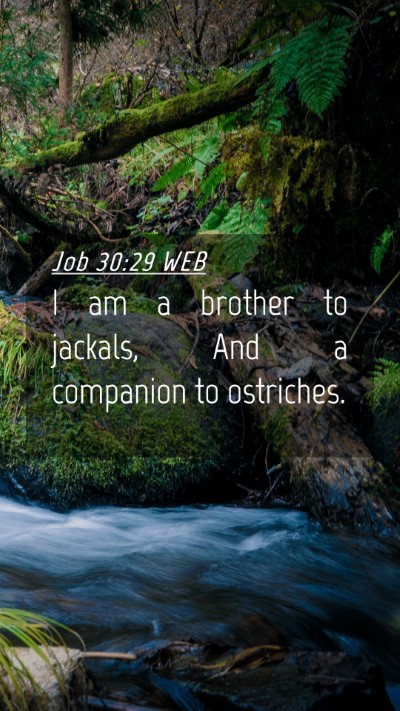 Picture 04 - Job 30:29 WEB Mobile Phone Wallpaper - I am a brother to jackals, And a companion to - Mobile Bible Verse Wallpaper