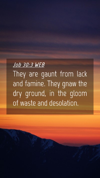 Picture 04 - Job 30:3 WEB Mobile Phone Wallpaper - They are gaunt from lack and famine. They gnaw - Mobile Bible Verse Wallpaper