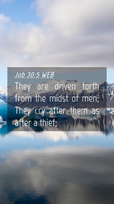 Picture 04 - Job 30:5 WEB Mobile Phone Wallpaper - They are driven forth from the midst of men; They - Mobile Bible Verse Wallpaper
