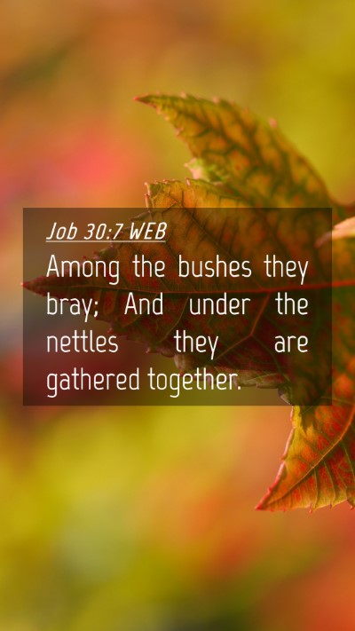 Picture 04 - Job 30:7 WEB Mobile Phone Wallpaper - Among the bushes they bray; And under the nettles - Mobile Bible Verse Wallpaper