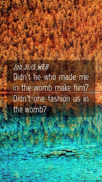 Picture 04 - Job 31:15 WEB Mobile Phone Wallpaper - Didn't he who made me in the womb make him? - Mobile Bible Verse Wallpaper