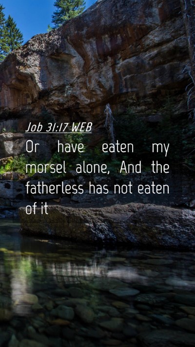 Picture 04 - Job 31:17 WEB Mobile Phone Wallpaper - Or have eaten my morsel alone, And the fatherless - Mobile Bible Verse Wallpaper