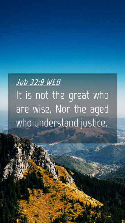 Picture 04 - Job 32:9 WEB Mobile Phone Wallpaper - It is not the great who are wise, Nor the aged - Mobile Bible Verse Wallpaper