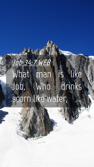 Picture 04 - Job 34:7 WEB Mobile Phone Wallpaper - What man is like Job, Who drinks scorn like - Mobile Bible Verse Wallpaper