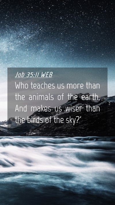 Picture 04 - Job 35:11 WEB Mobile Phone Wallpaper - Who teaches us more than the animals of the - Mobile Bible Verse Wallpaper