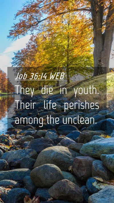 Picture 04 - Job 36:14 WEB Mobile Phone Wallpaper - They die in youth. Their life perishes among the - Mobile Bible Verse Wallpaper