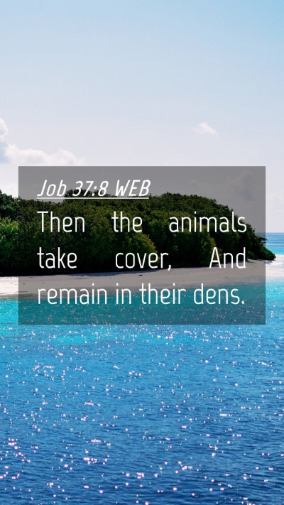 Picture 04 - Job 37:8 WEB Mobile Phone Wallpaper - Then the animals take cover, And remain in their - Mobile Bible Verse Wallpaper