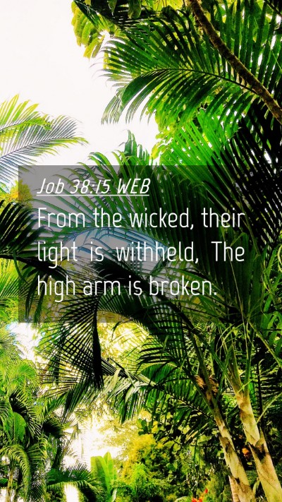 Picture 04 - Job 38:15 WEB Mobile Phone Wallpaper - From the wicked, their light is withheld, The - Mobile Bible Verse Wallpaper