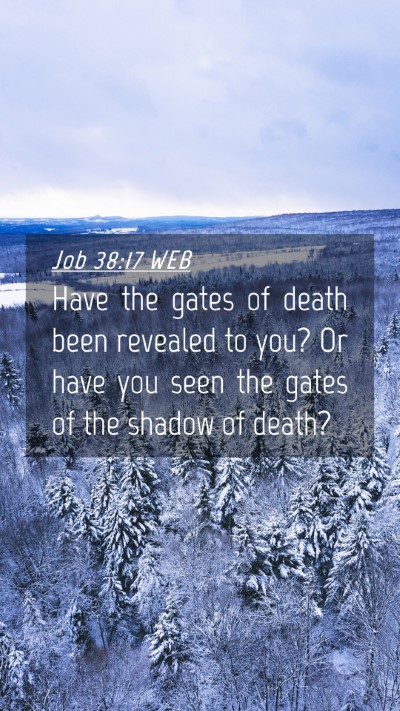 Picture 04 - Job 38:17 WEB Mobile Phone Wallpaper - Have the gates of death been revealed to you? Or - Mobile Bible Verse Wallpaper