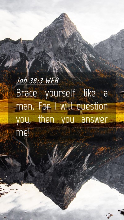 Picture 04 - Job 38:3 WEB Mobile Phone Wallpaper - Brace yourself like a man, For I will question - Mobile Bible Verse Wallpaper