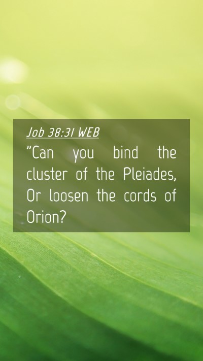 Picture 04 - Job 38:31 WEB Mobile Phone Wallpaper - 