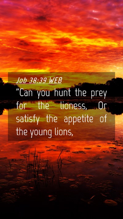 Picture 04 - Job 38:39 WEB Mobile Phone Wallpaper -