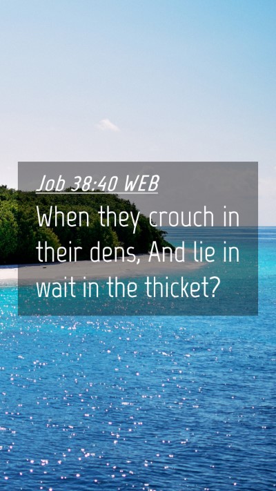 Picture 04 - Job 38:40 WEB Mobile Phone Wallpaper - When they crouch in their dens, And lie in wait - Mobile Bible Verse Wallpaper