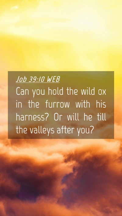 Picture 04 - Job 39:10 WEB Mobile Phone Wallpaper - Can you hold the wild ox in the furrow with his - Mobile Bible Verse Wallpaper