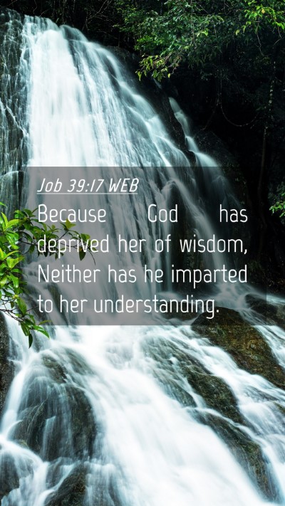 Picture 04 - Job 39:17 WEB Mobile Phone Wallpaper - Because God has deprived her of wisdom, Neither - Mobile Bible Verse Wallpaper