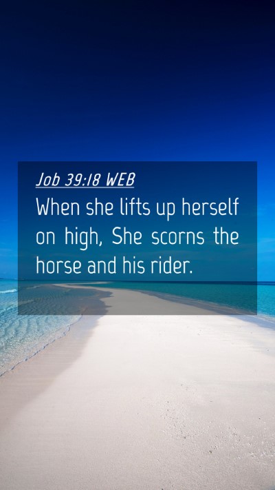 Picture 04 - Job 39:18 WEB Mobile Phone Wallpaper - When she lifts up herself on high, She scorns the - Mobile Bible Verse Wallpaper