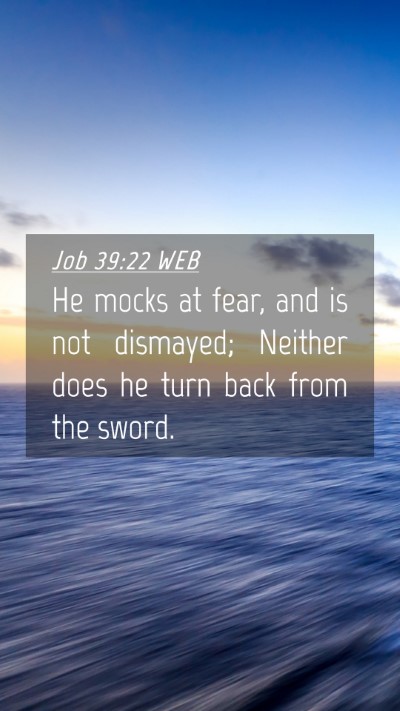 Picture 04 - Job 39:22 WEB Mobile Phone Wallpaper - He mocks at fear, and is not dismayed; Neither - Mobile Bible Verse Wallpaper