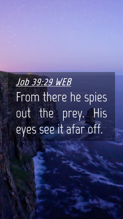 Picture 04 - Job 39:29 WEB Mobile Phone Wallpaper - From there he spies out the prey. His eyes see it - Mobile Bible Verse Wallpaper