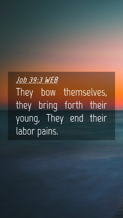 Picture 04 - Job 39:3 WEB Mobile Phone Wallpaper - They bow themselves, they bring forth their - Mobile Bible Verse Wallpaper