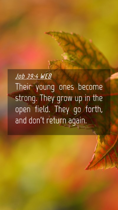 Picture 04 - Job 39:4 WEB Mobile Phone Wallpaper - Their young ones become strong. They grow up in - Mobile Bible Verse Wallpaper