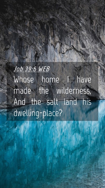 Picture 04 - Job 39:6 WEB Mobile Phone Wallpaper - Whose home I have made the wilderness, And the - Mobile Bible Verse Wallpaper