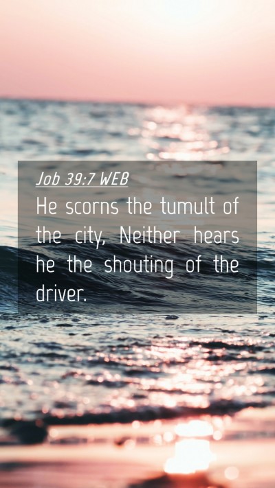 Picture 04 - Job 39:7 WEB Mobile Phone Wallpaper - He scorns the tumult of the city, Neither hears - Mobile Bible Verse Wallpaper