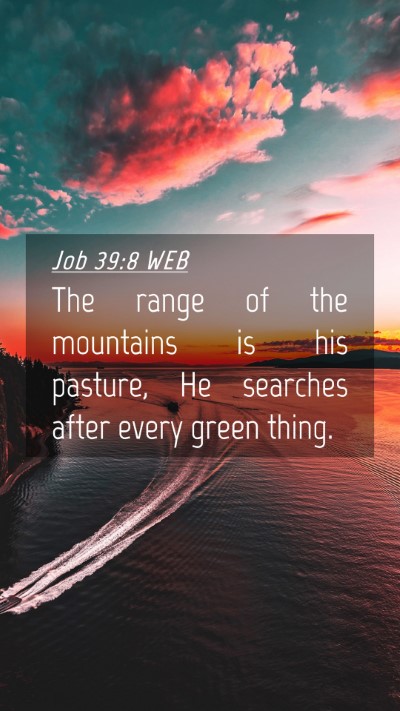 Picture 04 - Job 39:8 WEB Mobile Phone Wallpaper - The range of the mountains is his pasture, He - Mobile Bible Verse Wallpaper
