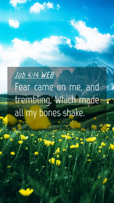 Picture 04 - Job 4:14 WEB Mobile Phone Wallpaper - Fear came on me, and trembling, Which made all my - Mobile Bible Verse Wallpaper