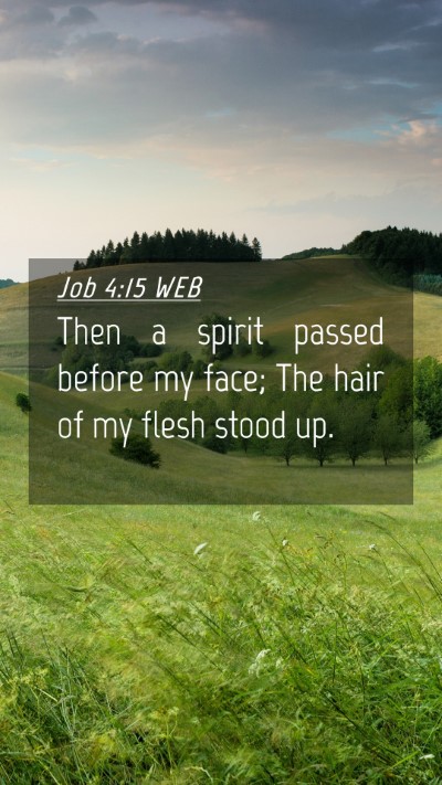 Picture 04 - Job 4:15 WEB Mobile Phone Wallpaper - Then a spirit passed before my face; The hair of - Mobile Bible Verse Wallpaper