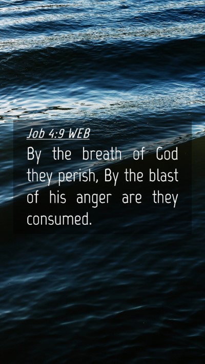 Picture 04 - Job 4:9 WEB Mobile Phone Wallpaper - By the breath of God they perish, By the blast of - Mobile Bible Verse Wallpaper