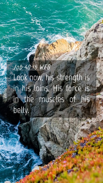 Picture 04 - Job 40:16 WEB Mobile Phone Wallpaper - Look now, his strength is in his loins, His force - Mobile Bible Verse Wallpaper