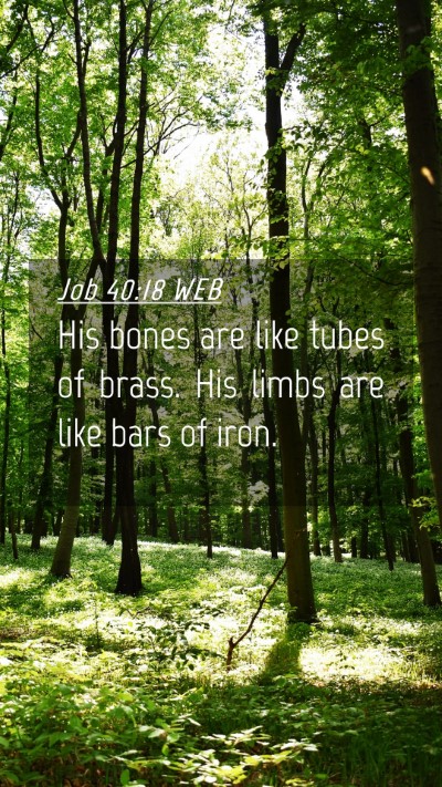 Picture 04 - Job 40:18 WEB Mobile Phone Wallpaper - His bones are like tubes of brass. His limbs are - Mobile Bible Verse Wallpaper