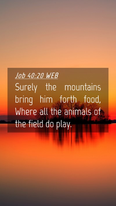 Picture 04 - Job 40:20 WEB Mobile Phone Wallpaper - Surely the mountains bring him forth food, Where - Mobile Bible Verse Wallpaper