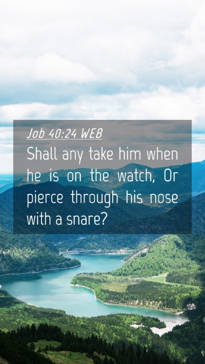 Picture 04 - Job 40:24 WEB Mobile Phone Wallpaper - Shall any take him when he is on the watch, Or - Mobile Bible Verse Wallpaper