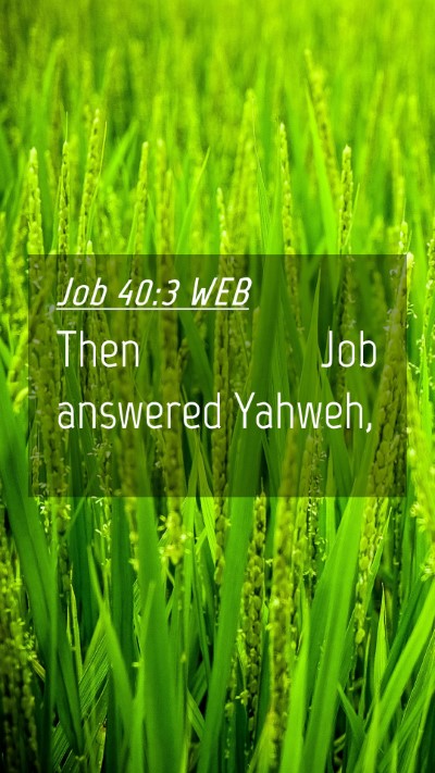 Picture 04 - Job 40:3 WEB Mobile Phone Wallpaper - Then Job answered - Mobile Bible Verse Wallpaper
