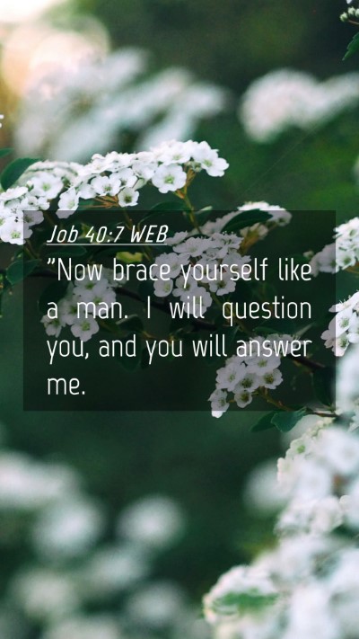 Picture 04 - Job 40:7 WEB Mobile Phone Wallpaper - 