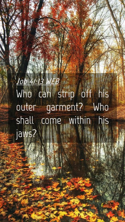 Picture 04 - Job 41:13 WEB Mobile Phone Wallpaper - Who can strip off his outer garment? Who shall - Mobile Bible Verse Wallpaper