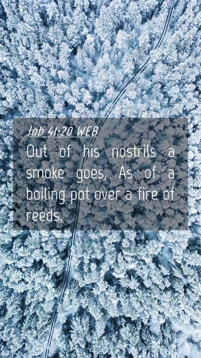 Picture 04 - Job 41:20 WEB Mobile Phone Wallpaper - Out of his nostrils a smoke goes, As of a boiling - Mobile Bible Verse Wallpaper