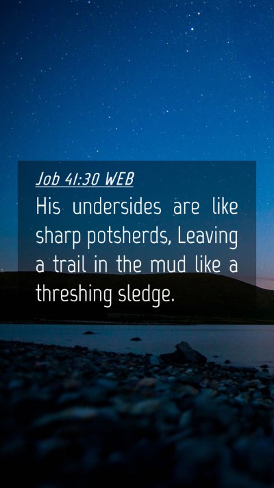 Picture 04 - Job 41:30 WEB Mobile Phone Wallpaper - His undersides are like sharp potsherds, Leaving - Mobile Bible Verse Wallpaper