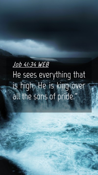 Picture 04 - Job 41:34 WEB Mobile Phone Wallpaper - He sees everything that is high: He is king over - Mobile Bible Verse Wallpaper