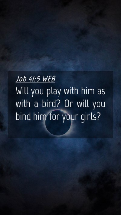 Picture 04 - Job 41:5 WEB Mobile Phone Wallpaper - Will you play with him as with a bird? Or will - Mobile Bible Verse Wallpaper