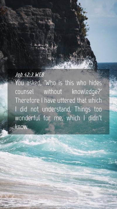Picture 04 - Job 42:3 WEB Mobile Phone Wallpaper - You asked, 'Who is this who hides counsel without - Mobile Bible Verse Wallpaper