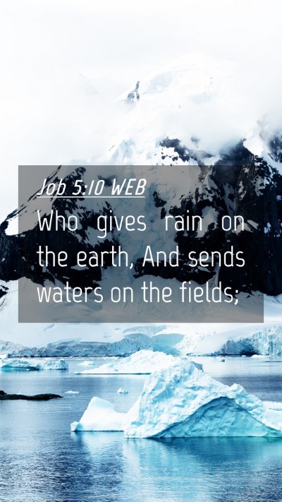 Picture 04 - Job 5:10 WEB Mobile Phone Wallpaper - Who gives rain on the earth, And sends waters on - Mobile Bible Verse Wallpaper