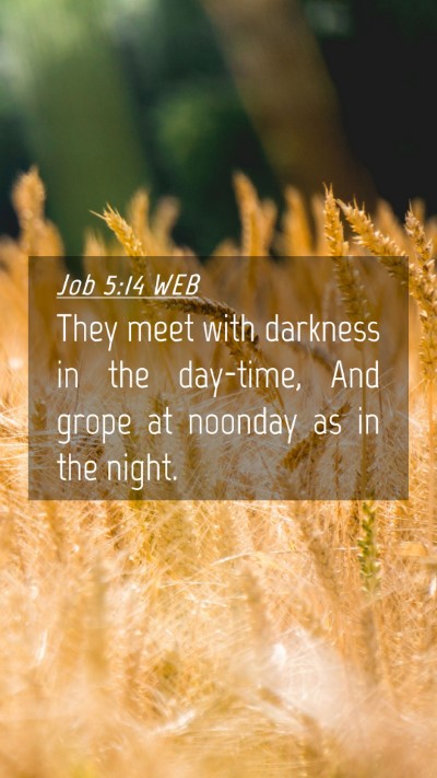 Picture 04 - Job 5:14 WEB Mobile Phone Wallpaper - They meet with darkness in the day-time, And - Mobile Bible Verse Wallpaper