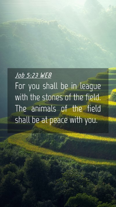 Picture 04 - Job 5:23 WEB Mobile Phone Wallpaper - For you shall be in league with the stones of the - Mobile Bible Verse Wallpaper