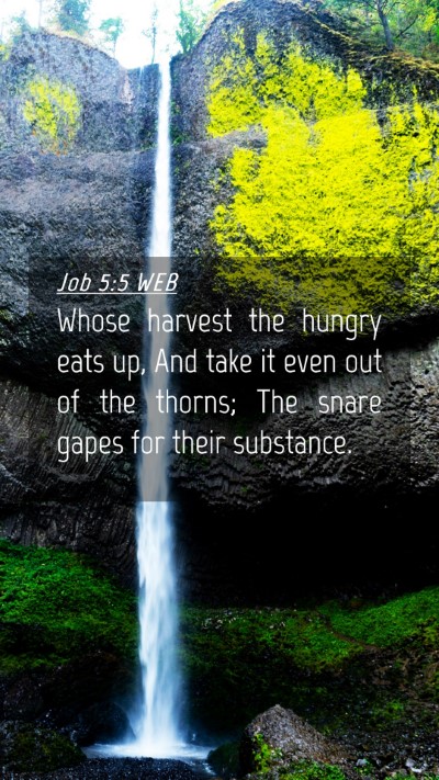 Picture 04 - Job 5:5 WEB Mobile Phone Wallpaper - Whose harvest the hungry eats up, And take it - Mobile Bible Verse Wallpaper