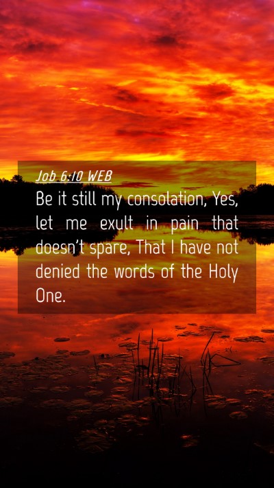 Picture 04 - Job 6:10 WEB Mobile Phone Wallpaper - Be it still my consolation, Yes, let me exult in - Mobile Bible Verse Wallpaper
