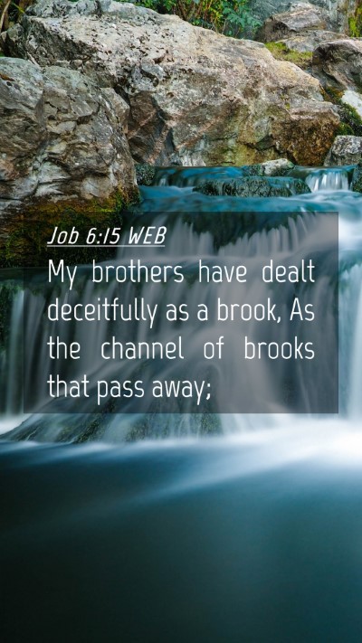 Picture 04 - Job 6:15 WEB Mobile Phone Wallpaper - My brothers have dealt deceitfully as a brook, As - Mobile Bible Verse Wallpaper