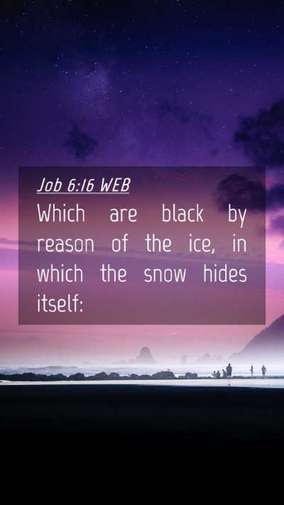 Picture 04 - Job 6:16 WEB Mobile Phone Wallpaper - Which are black by reason of the ice, in which - Mobile Bible Verse Wallpaper