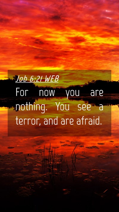 Picture 04 - Job 6:21 WEB Mobile Phone Wallpaper - For now you are nothing. You see a terror, and - Mobile Bible Verse Wallpaper